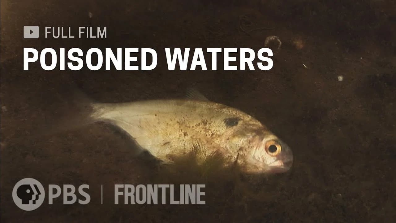 Poisoned Waters