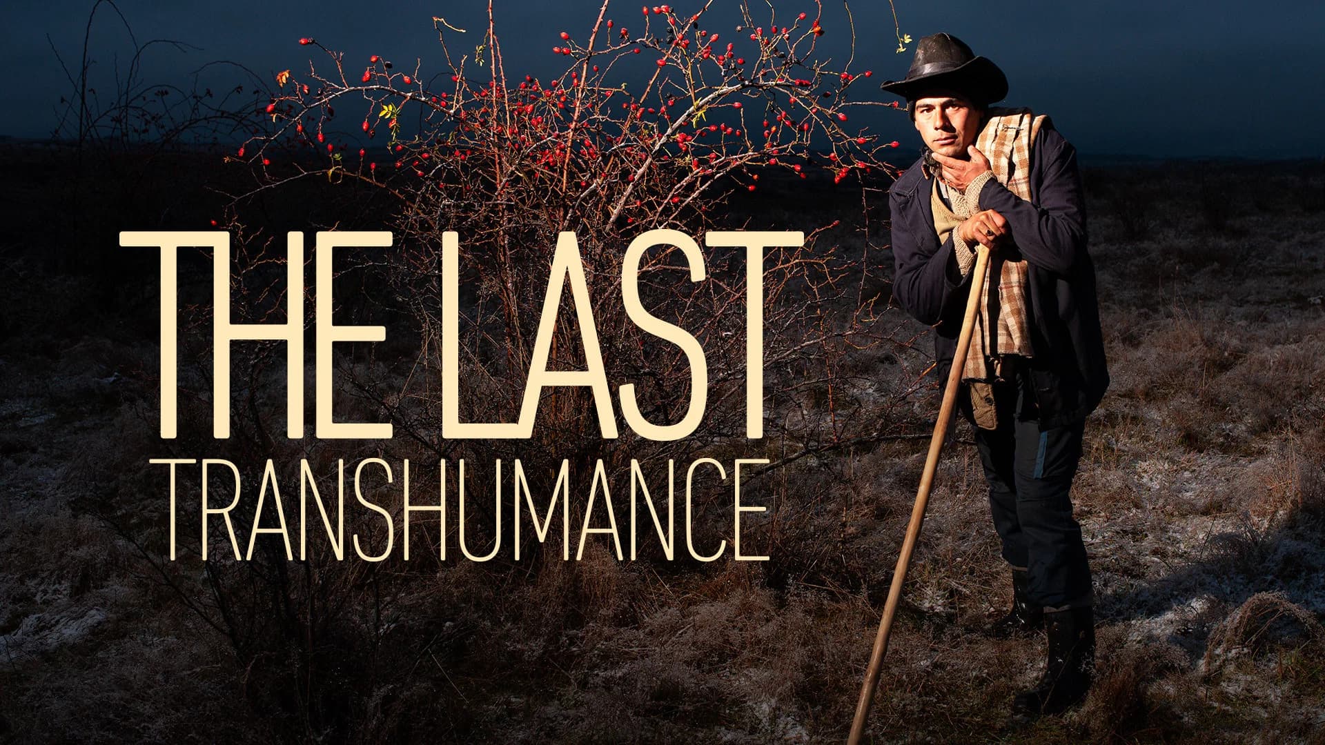 The Last Transhumance