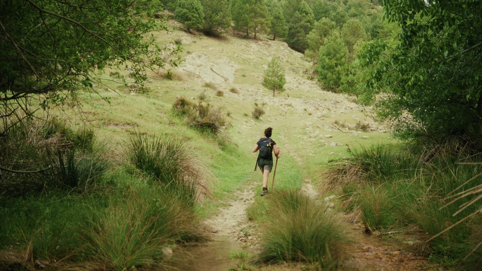 El Valle