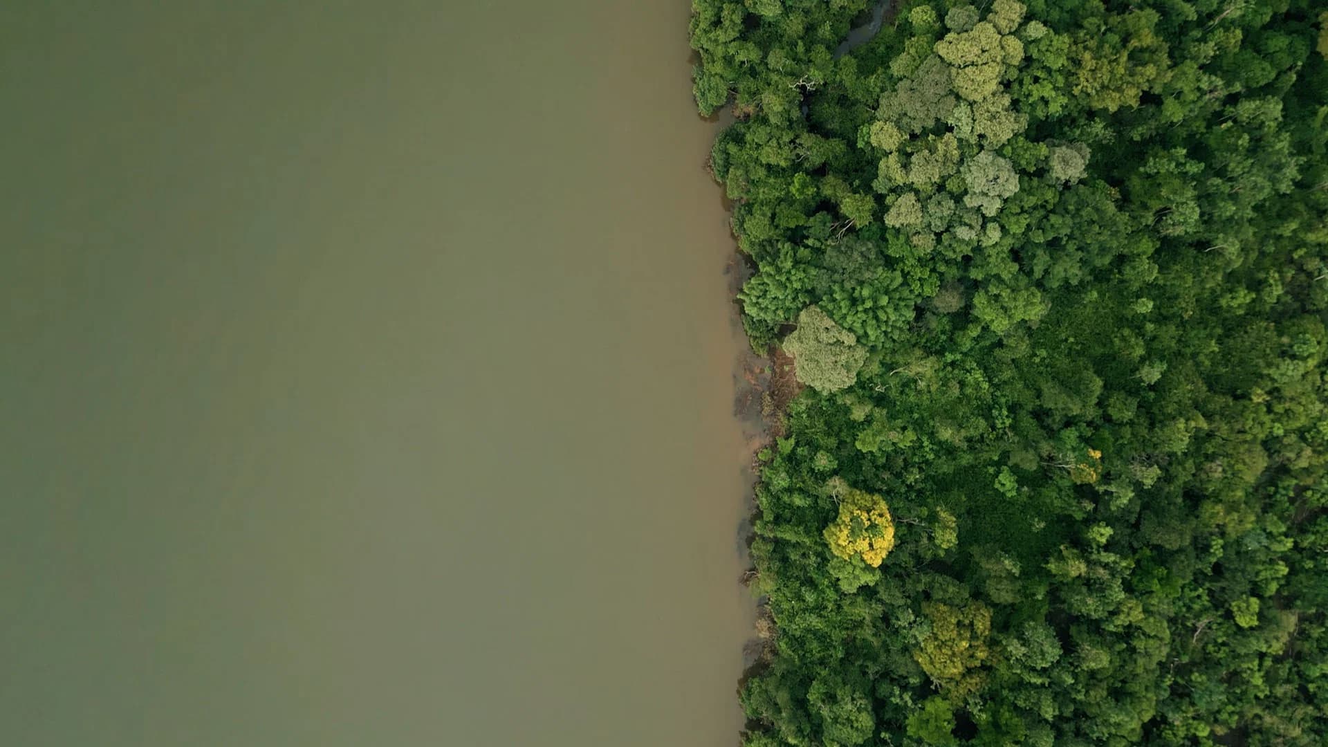 DAMS AMONG US