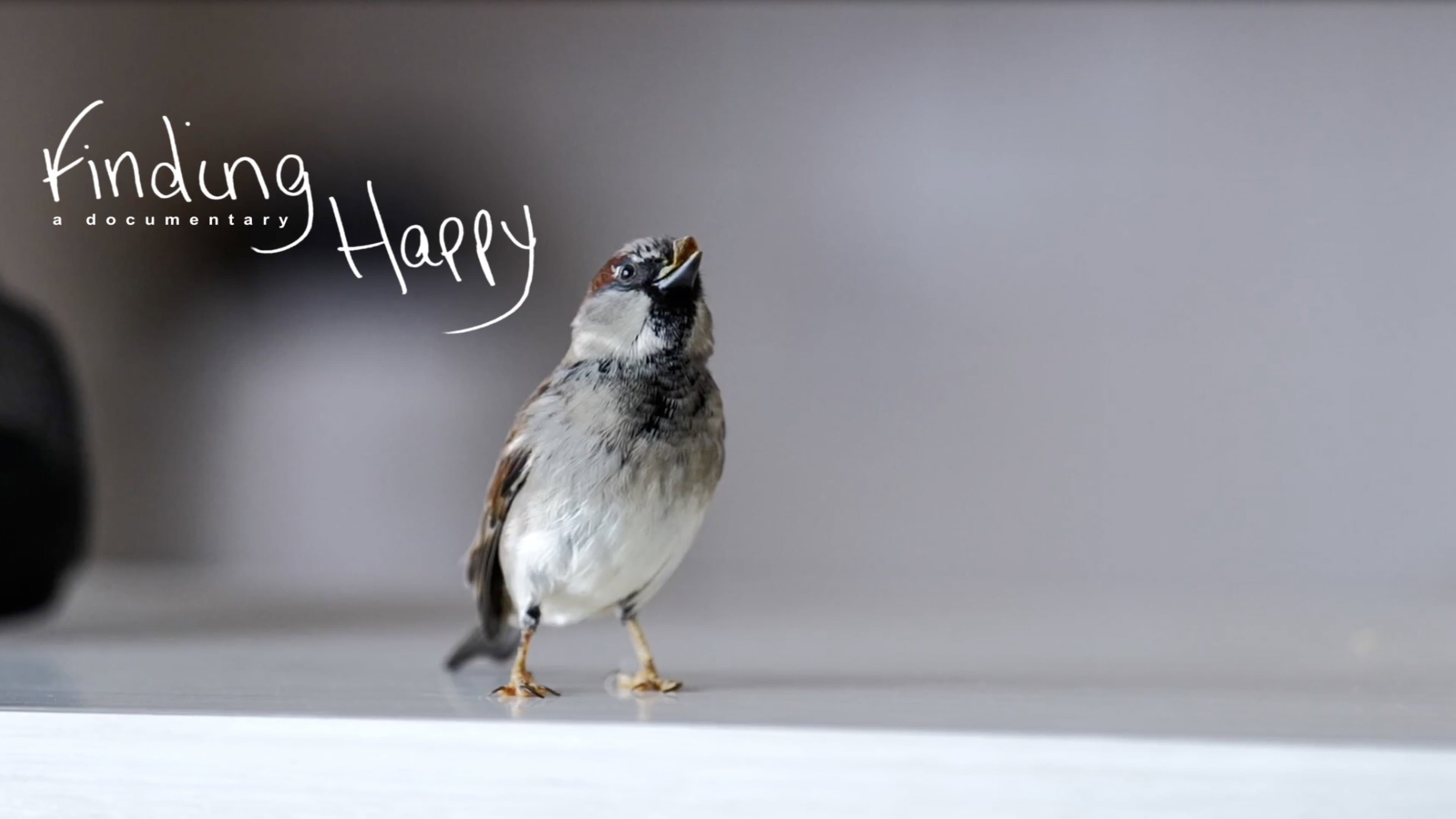 Finding Happy