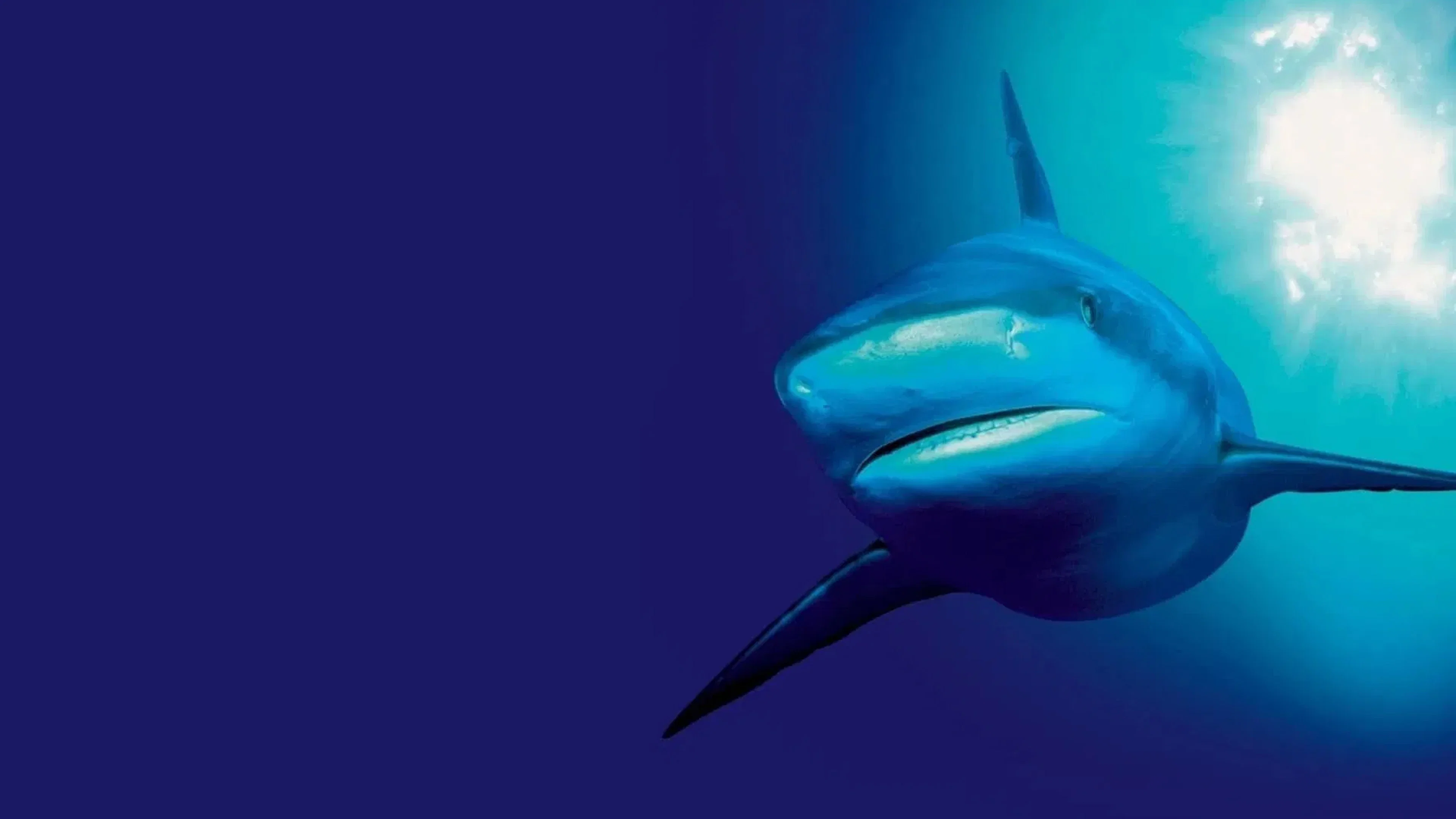 The Blue Planet