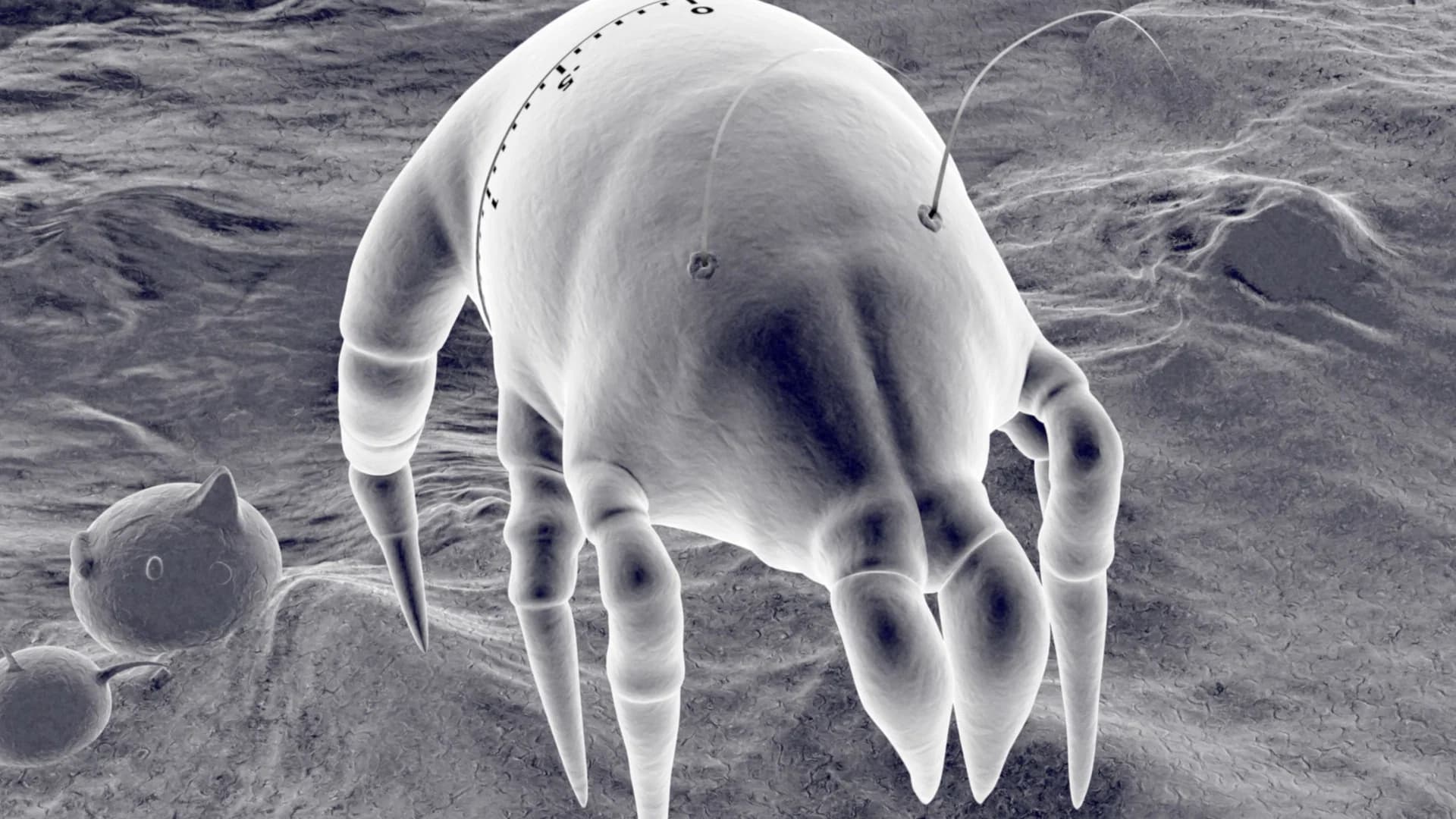 Gonna Get Along Without You Now (Dustmite)