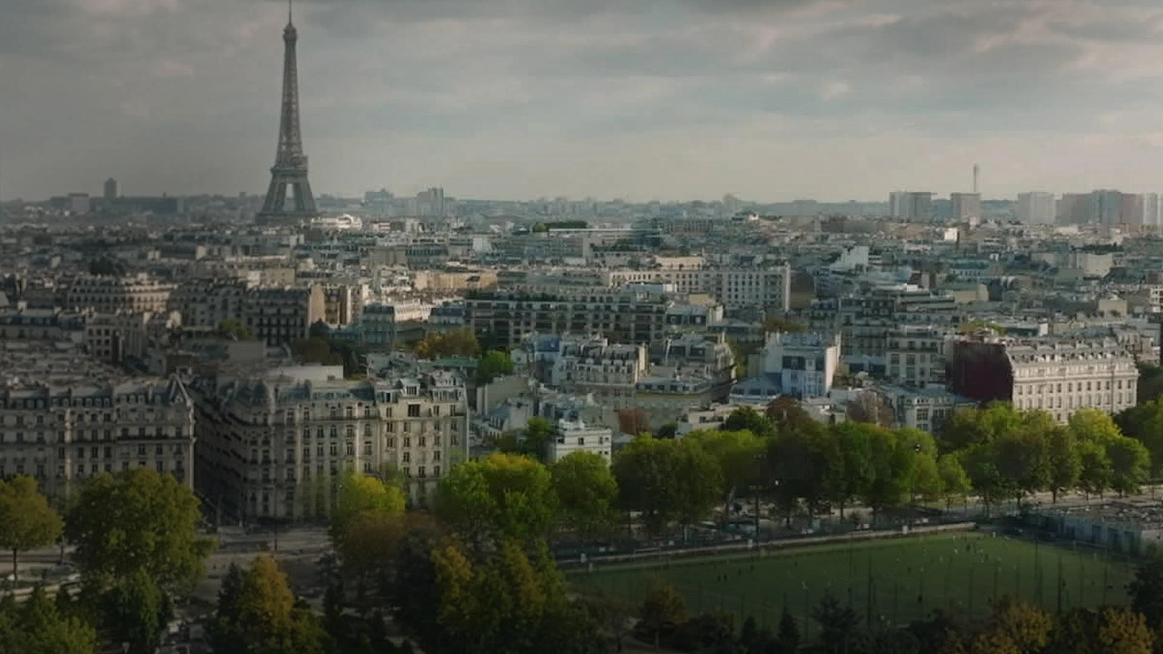 Le Suicide Francais