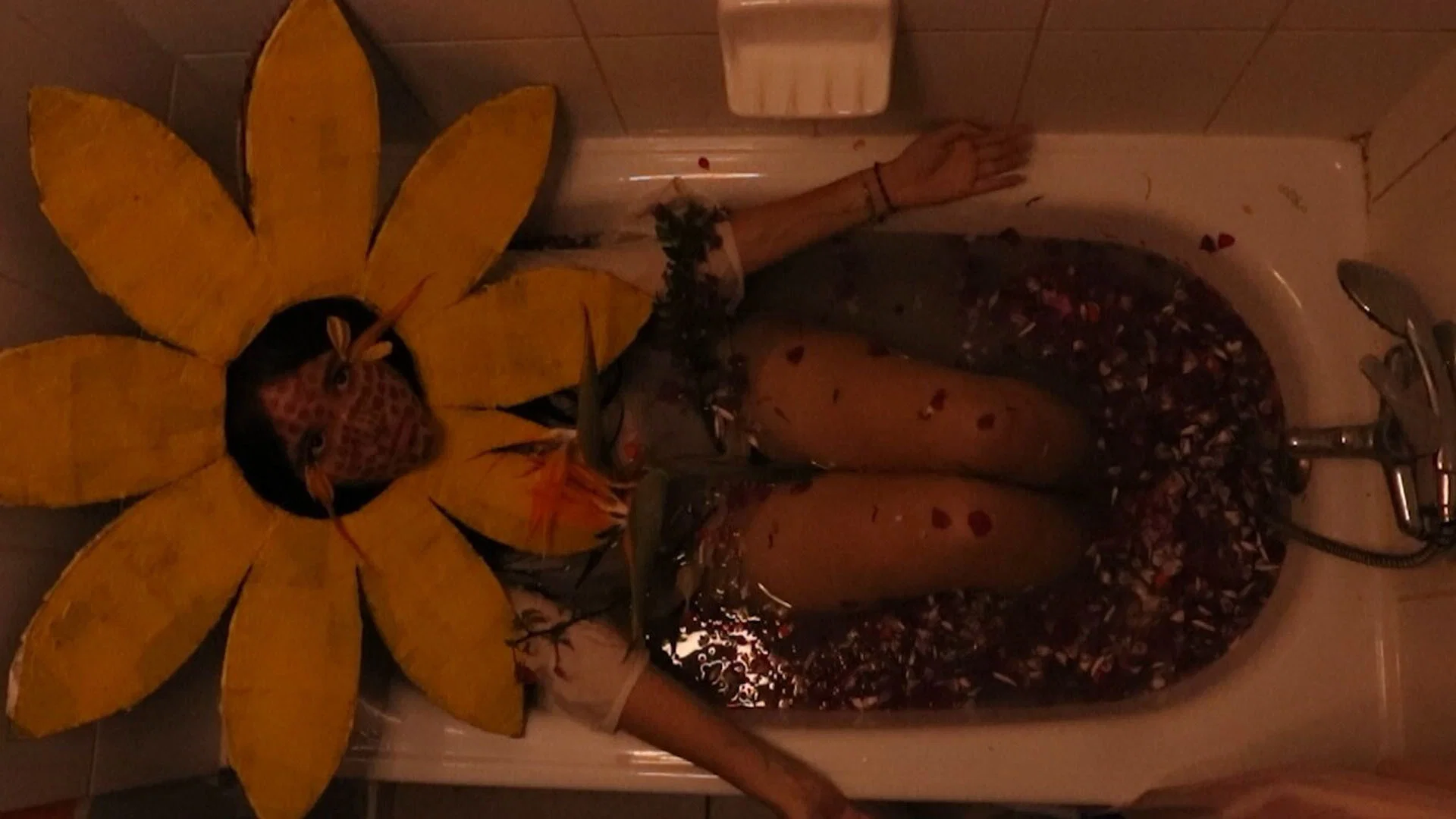 te de girasol