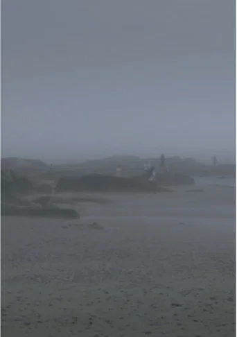 The Fog Has Covered The Moment Again