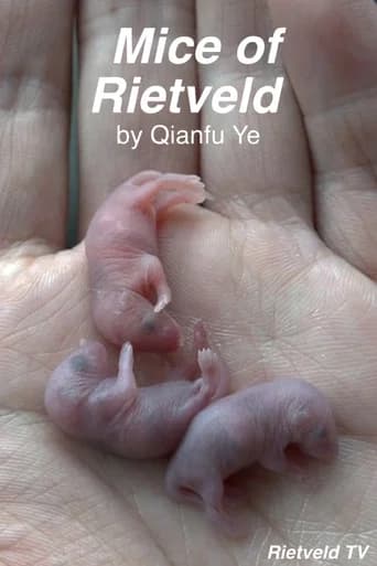 Mice of Rietveld