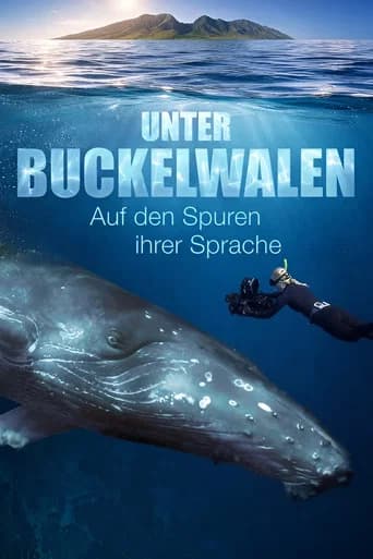 Among Humpback Whales