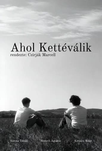 Ahol Kettéválik