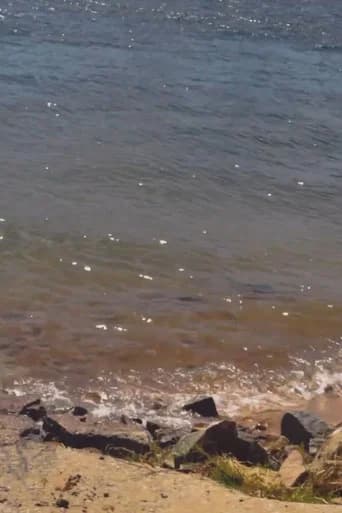 Rio, Memórias, Recomeços...