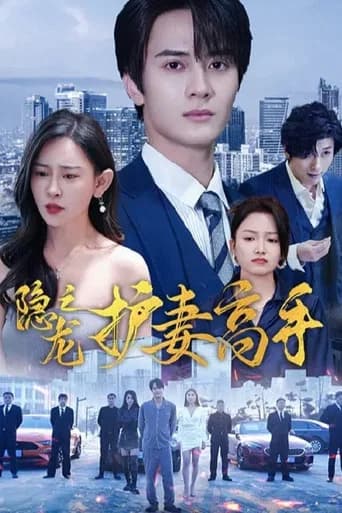 隐龙之护妻高手