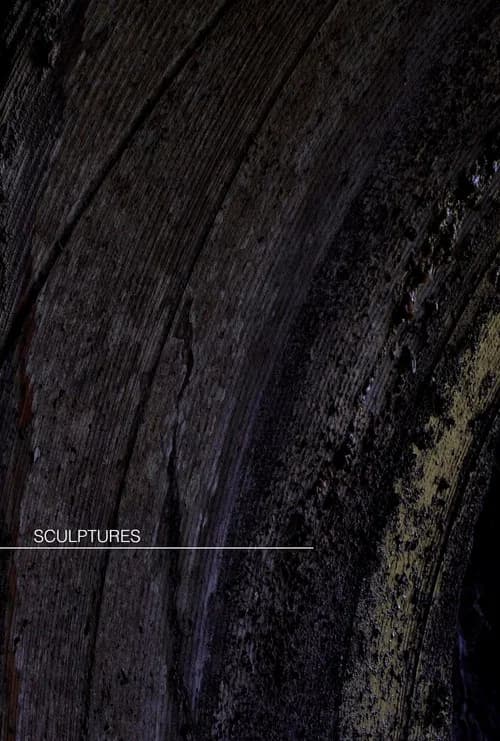 Sculptures [short]