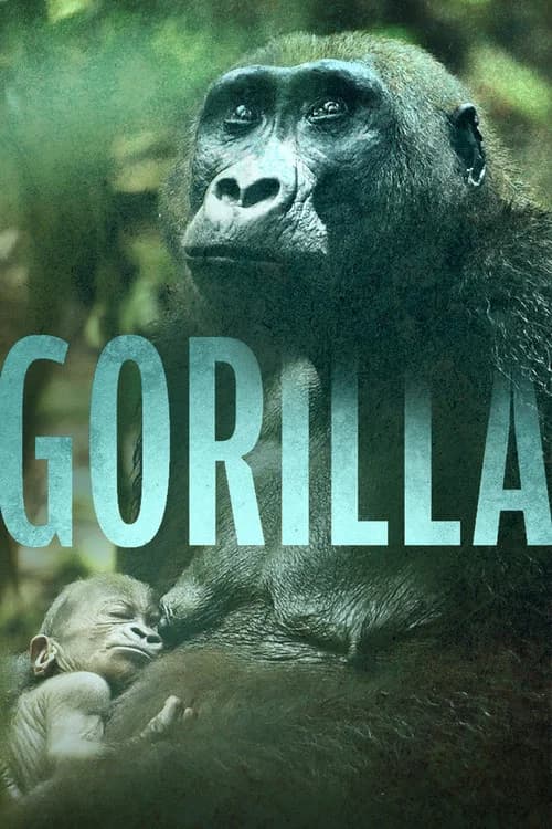 Gorilla