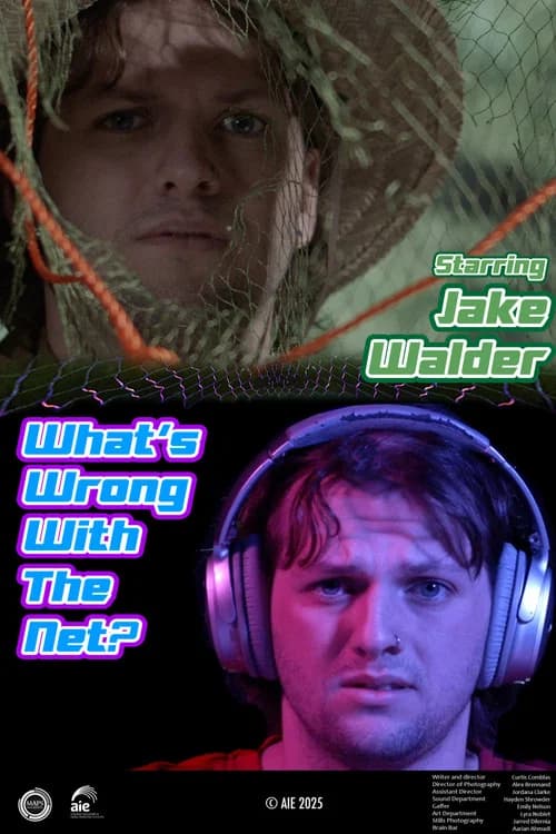 What's Wrong with the Net?