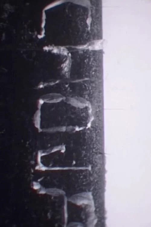 Chøja