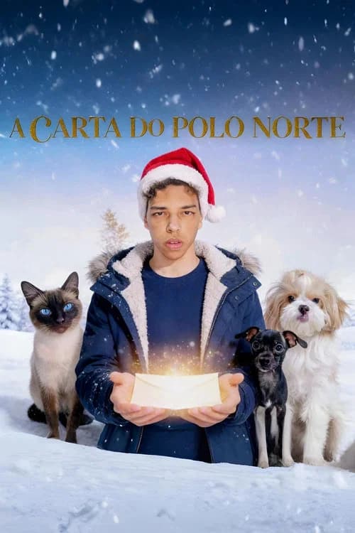 A Carta do Polo Norte