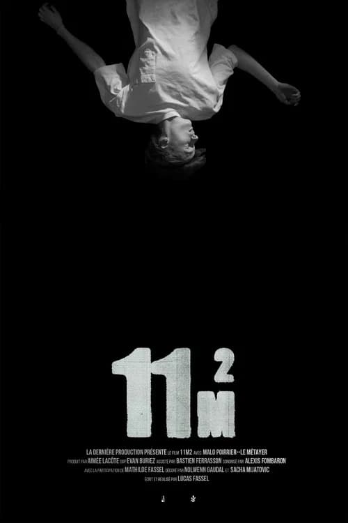 11m2