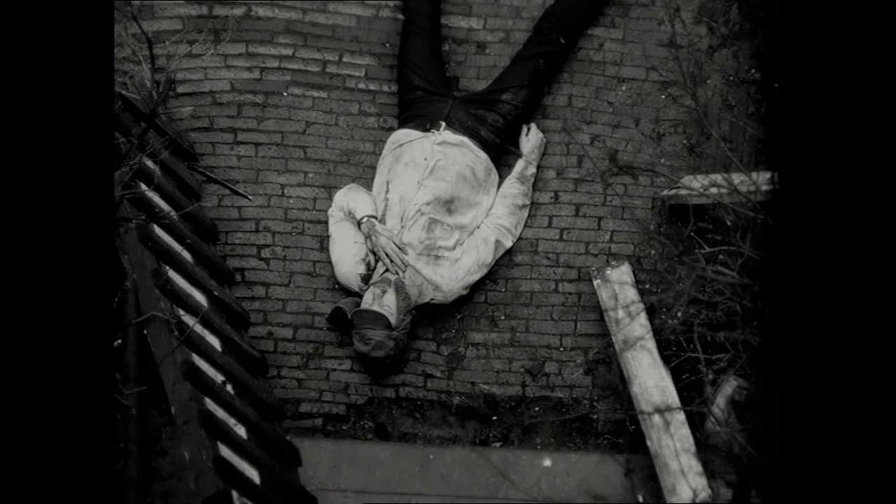 Paranoia