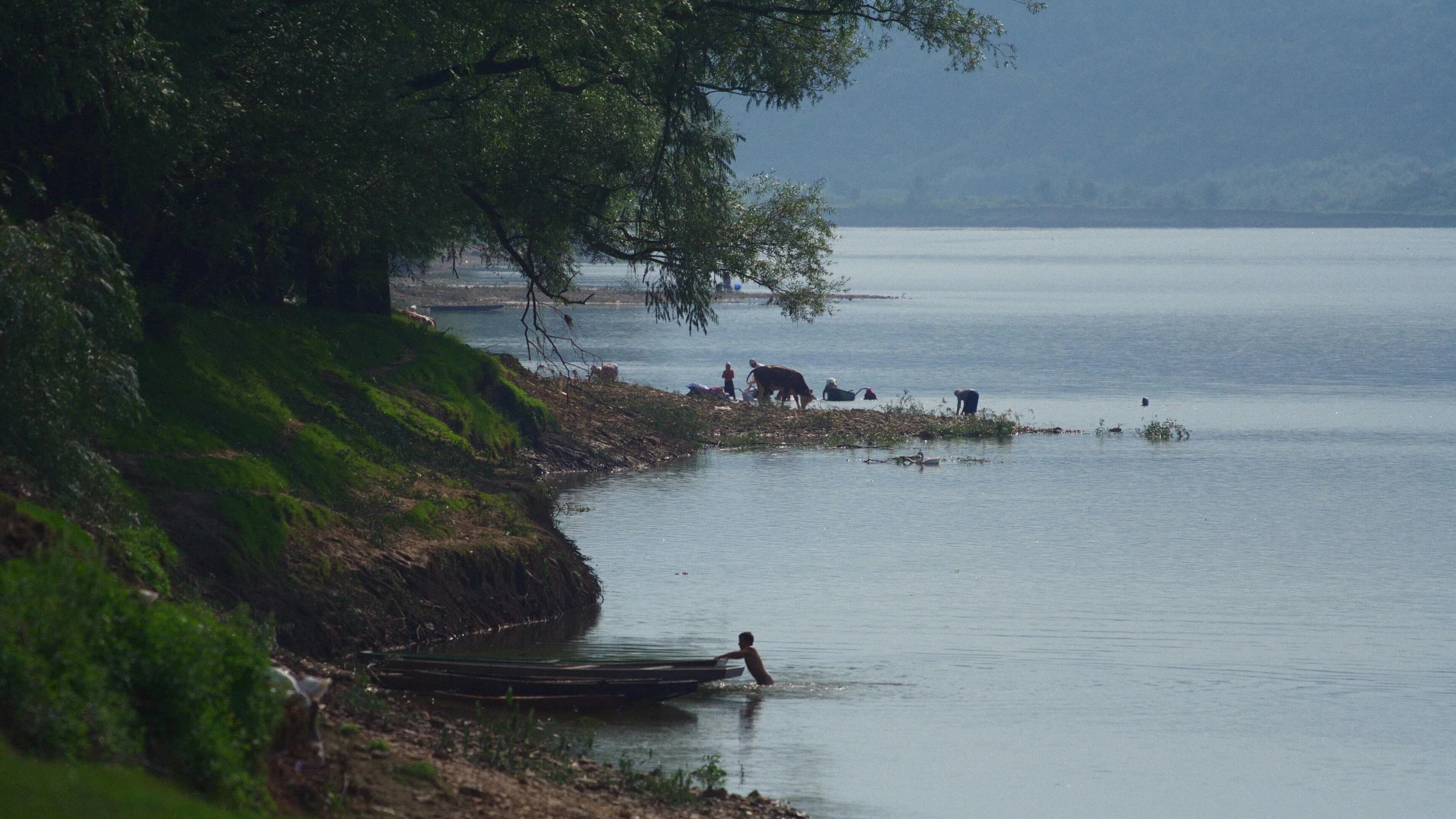 Silent Flood
