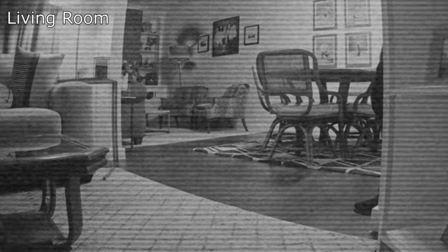 My House Is Haunted