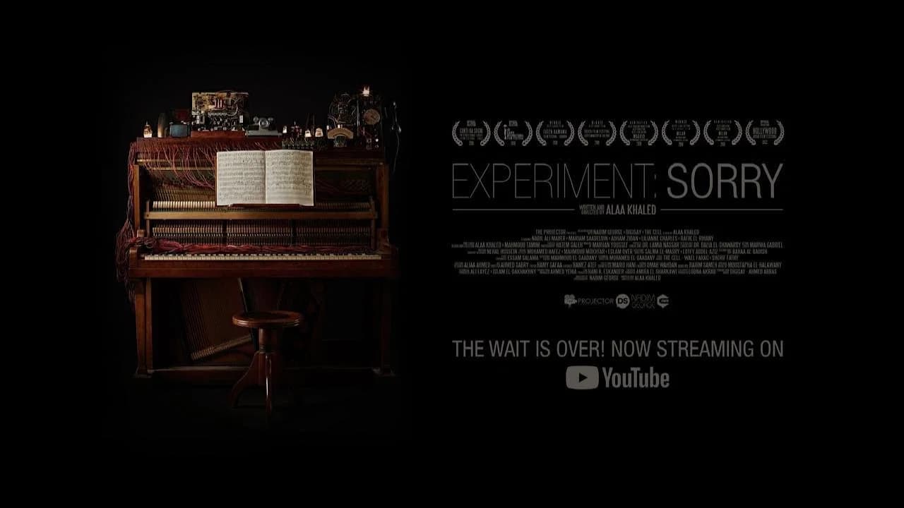 Experiment: Sorry
