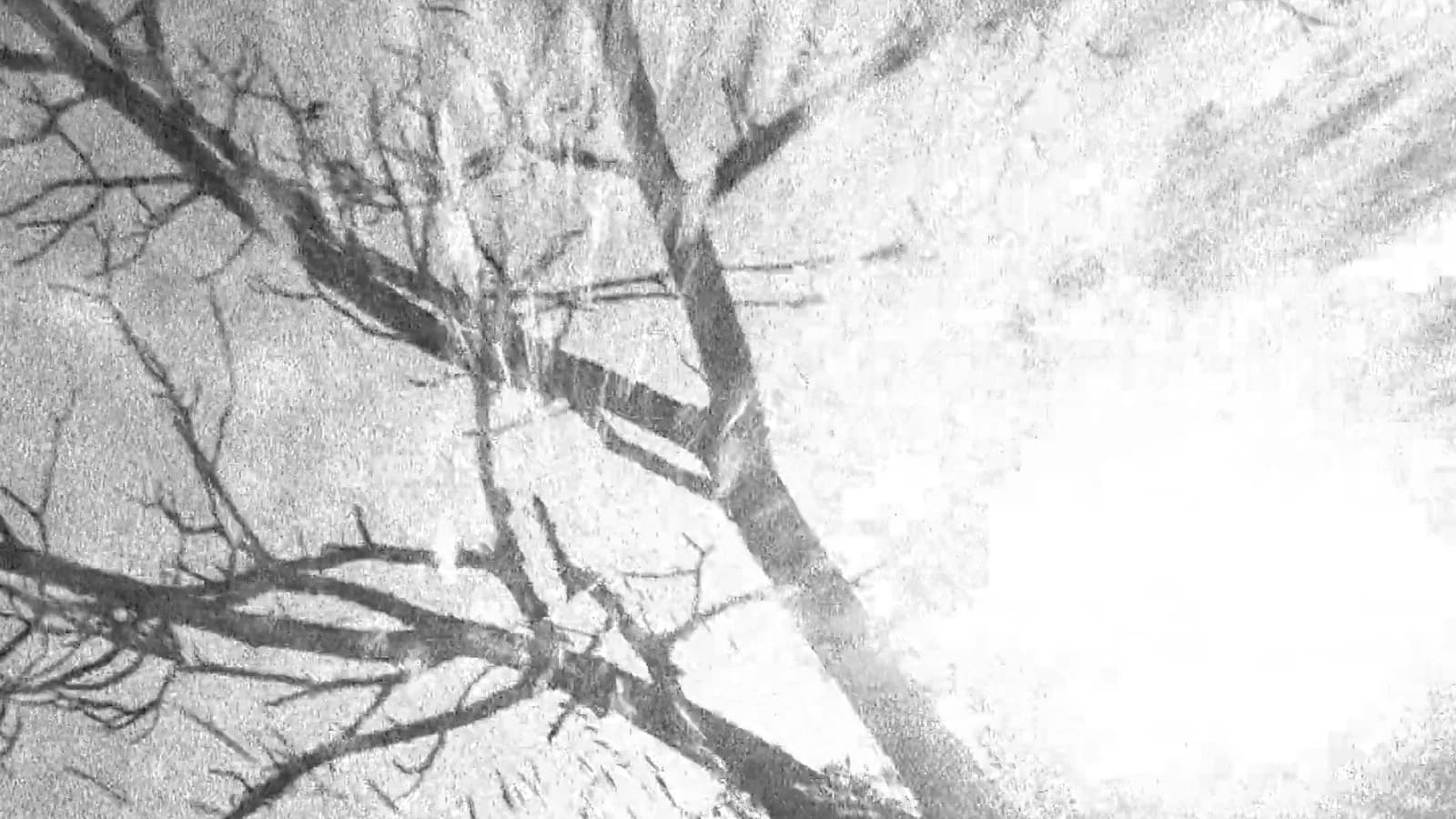 Spectral Ascension