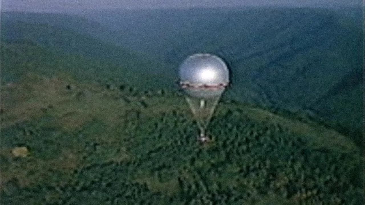 To Fly!