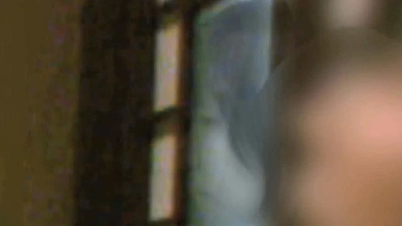Sealed Video 10: Cursed Alumni