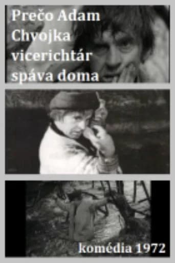 Adam Chvojka vicerichtár