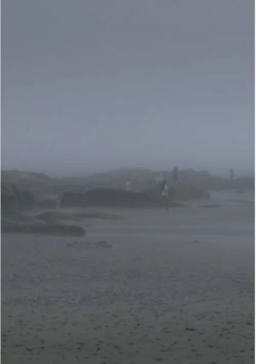 The Fog Has Covered The Moment Again