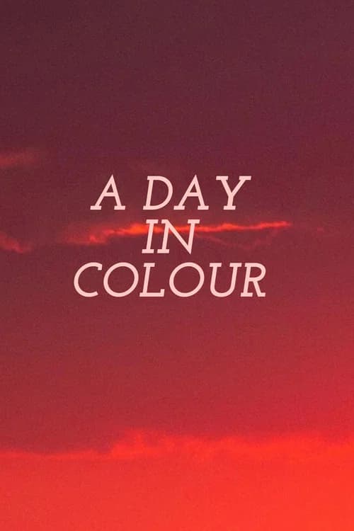 A Day in Colour