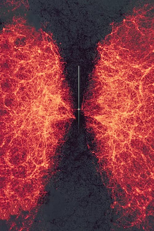 data-verse 1