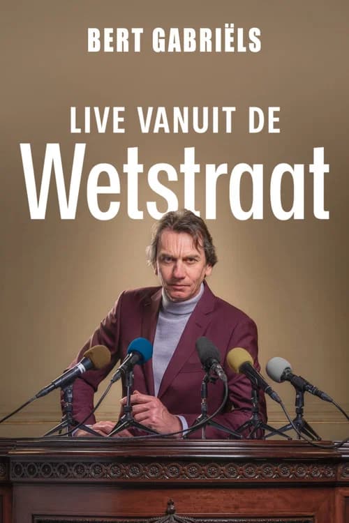 Bert Gabriëls: Live vanuit de Wetstraat