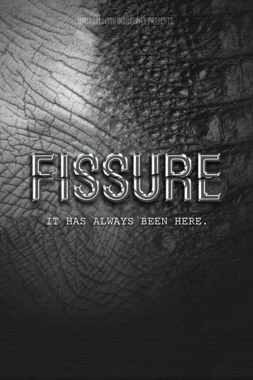 FISSURE
